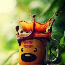 ���� �����, ������ - ��������� 18 ��� 2017 � ������ ������ ��������