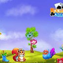 ���� ������, �����-���������, 57 ��� - ��������� 8 ������� 2017 � ������ �������� �������-�������