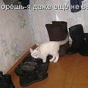 ���� �����, ����������� - ��������� 23 ������ 2017 � ������ ������ ��������