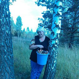 ���� �������, ������ - ��������� 7 ������� 2017