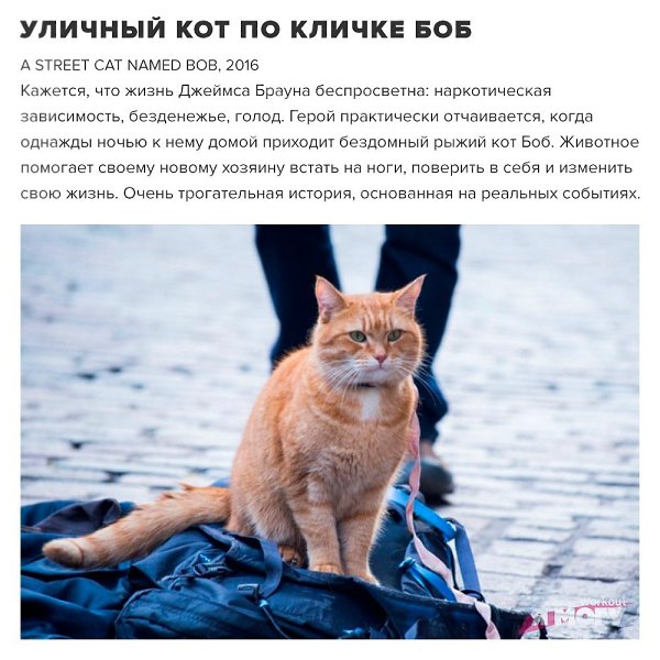 Хорошие фильмы для выходного дня! А какой жанр любите вы? #настроение@ican - 3