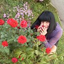 ���� ����, �����-���������, 57 ��� - ��������� 18 ���� 2017 � ������ ���� ����������