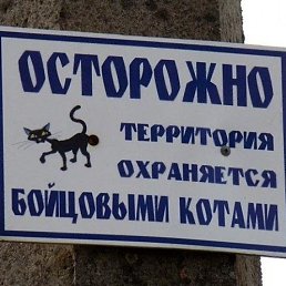 ���������, ������, 44 ����