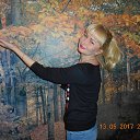 ���� ����, ������ ��������, 41 ��� - ��������� 22 ��� 2017 � ������ ���� ����������