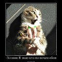  Aleks, , 65  -  17  2017    