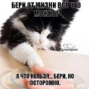 Фото Светлана, Санкт-Петербург - добавлено 20 июля 2017