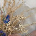 ���� �����, ������ �������� - ��������� 28 ���� 2017 � ������ ���� ����������