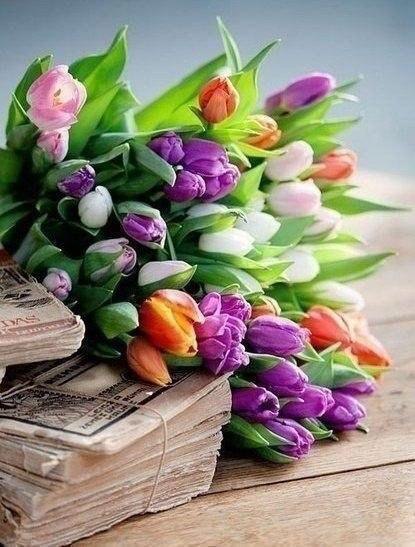 ...тюльпанчиков - 3