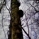 ���� �������, �������� - ��������� 16 ������ 2017 � ������ ���� ����������