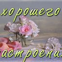 ���� �������, ��������, 46 ��� - ��������� 31 ��� 2017 � ������ ���� ����������