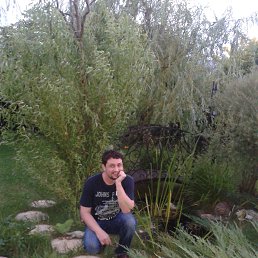 ���� ������, ��������� - ��������� 24 ��� 2017