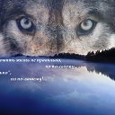 ���� ���������, �����-��������� - ��������� 8 ������ 2017 � ������ ���� ����������