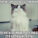 ���� ������, �����������, 56 ��� - ��������� 24 �������� 2017 � ������ ������ ��������