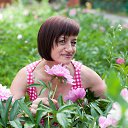 ���� ���, ��������� - ��������� 27 ������� 2017 � ������ ������ ��������