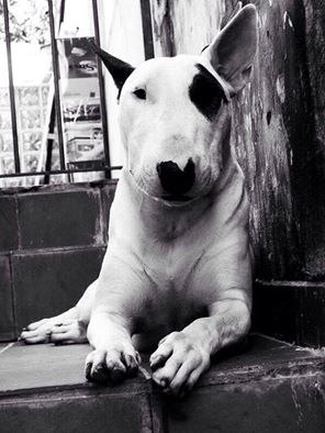 Добрый день всем жителям Буле-Городка ))).Для новых участников группы и для всех кто ищет полезную ...