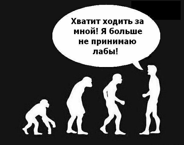    - 29  2017  11:22