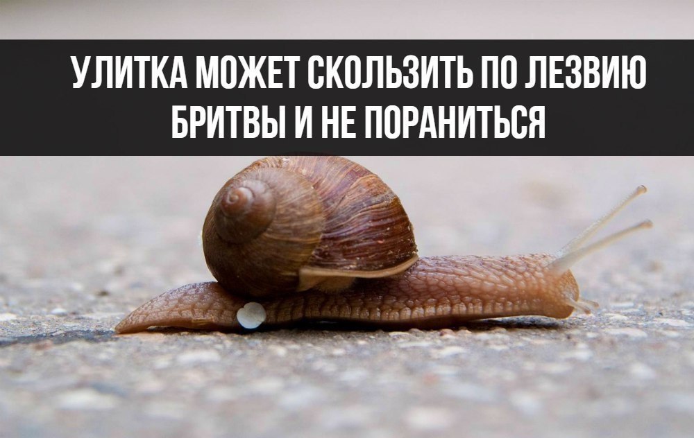 научные факты! - YouTube