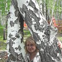  ,  -  20  2017    17