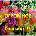 ���� ��������, ������, 59 ��� - ��������� 30 �������� 2017 � ������ ���� ����������