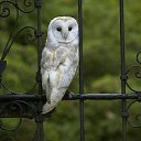 ���� ������, ������, 44 ���� - ��������� 7 �������� 2017 � ������ ������ ��������