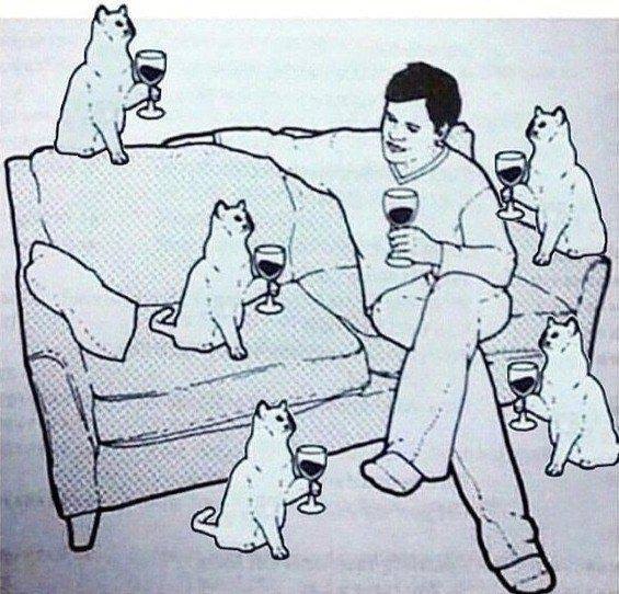 ��� - 14 ������� 2017 � 10:06