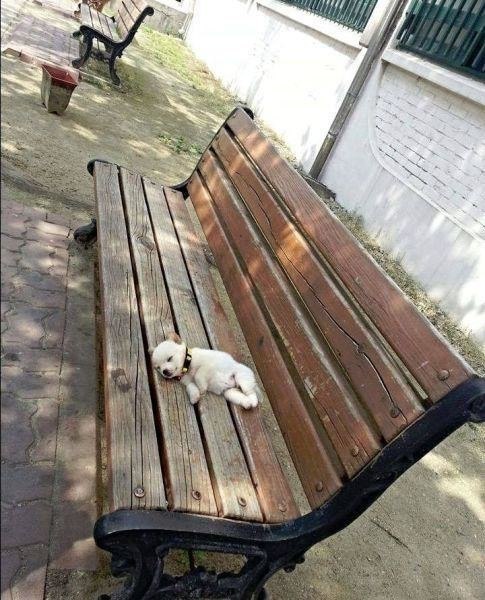 , ,      !!