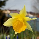 ������ 2017 �� ������� ���� ����������� (!) ��������)�