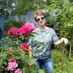 ������, ������������, 53 ����