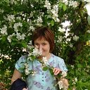 ���� �����, �������� - ��������� 12 ���� 2017 � ������ ���� ����������