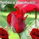 ���� �������, ����� - ��������� 8 ��� 2017 � ������ ���� ����������