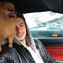 ���� Anton, ������ - ��������� 19 ������ 2017 � ������ ���� ����������