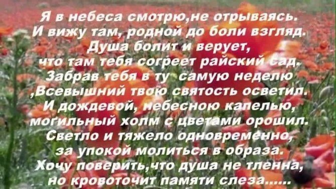 Тебя у Бога выпрошу на миг... И в этот миг в глаза взгляну родные, Которые, как ласковый родник В ...
