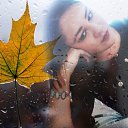 ���� �����, ������ - ��������� 10 �������� 2017 � ������ ���� ����������