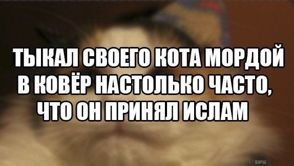  - 4  2017  23:01