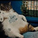 ���� ����, �������, 57 ��� - ��������� 21 ������ 2017 � ������ ������ ��������