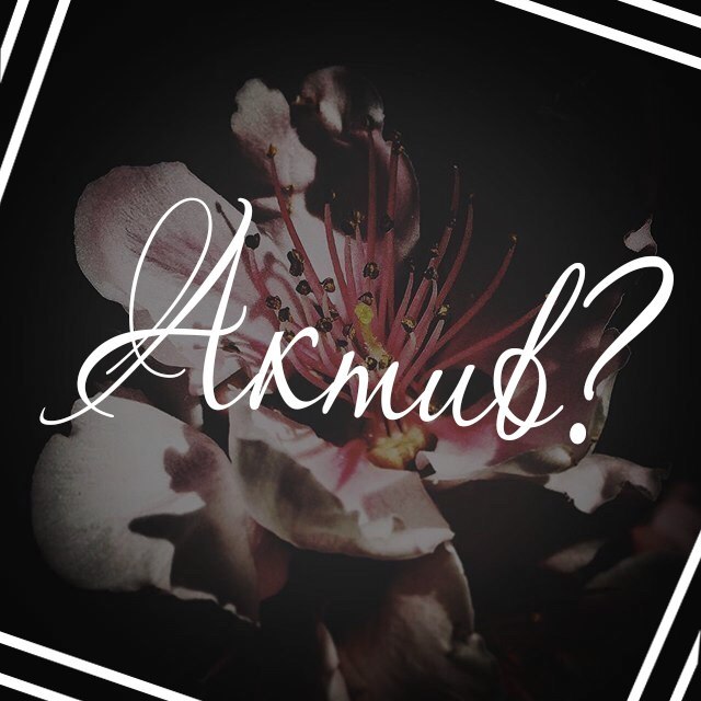  . ____________________________________________    -   . ...