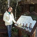 ���� �����, ����� - ��������� 15 ������� 2017 � ������ ���� ����������