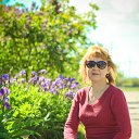 ���� ���������, �������, 59 ��� - ��������� 26 ���� 2017 � ������ ���� ����������