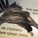 ���� ��������, ������������ - ��������� 2 ������ 2017 � ������ ������ ��������