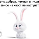 ���� �����, �������� - ��������� 17 �������� 2017 � ������ ������ ��������