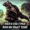 ���� �������� �������, ������ - ��������� 14 �������� 2017 � ������ ������ ��������
