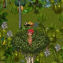  ,  -  25  2017   Tropikania