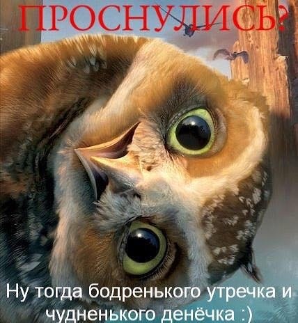      - 11  2017  07:13
