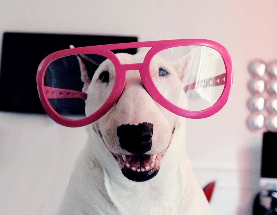 Доброе утро! Вот и август