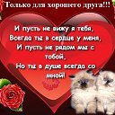���� Alekcandr, ������ - ��������� 6 ���� 2017 � ������ ������ ��������