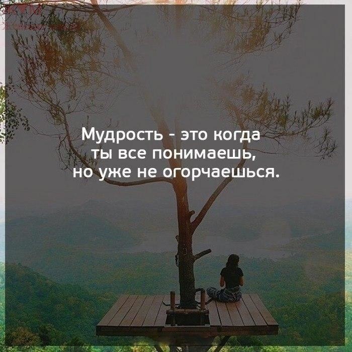    - 13  2017  20:47