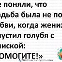 ���� �������, �������, 46 ��� - ��������� 31 ������� 2017 � ������ ������ ��������