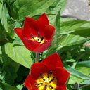 14.05.2017 �� ������� ���� ����������� (!) ��������)�