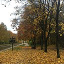 ���� �����, �����, 47 ��� - ��������� 15 ������� 2017 � ������ ������ ��������