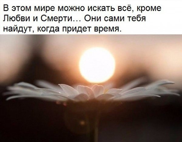    - 20  2017  06:51
